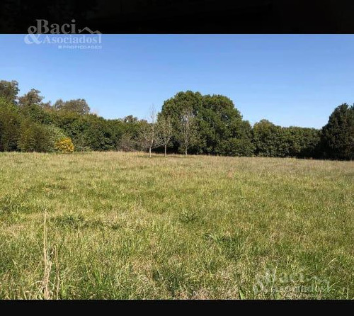 Chacra - Canning (ezeiza)
