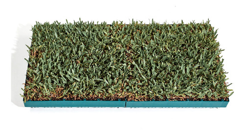 Pack 4 Césped Natural Para Balcones Y Terrazas Cespot
