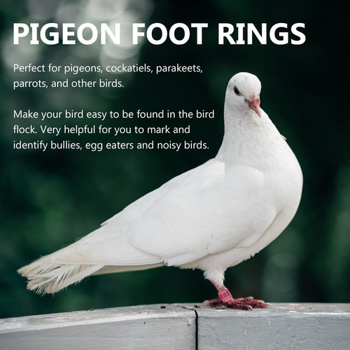 Anel De Identificação Ctr Ring Homing Pigeon Anel Para Perna