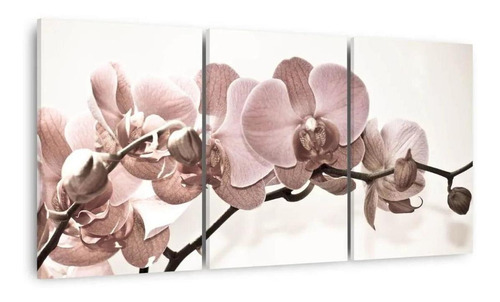 Quadro Flores Orquídeas Bege Para Sala Recepção Tecido