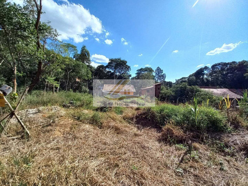 Imagem 12 de 12 de Terreno - Ref:161 - V- 161 - 161