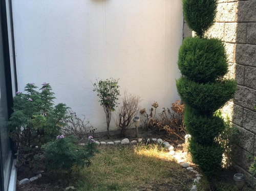 Imagen 7 de 22 de Casa En Renta En Parque Campeche Lomas De Angelopolis Puebla
