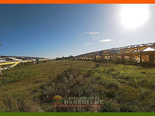 Chacra 10 Has En Venta - Monoambiente En Sauce