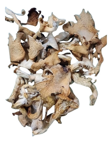 Hongos Girgolas Secas X 250gr
