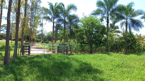 Imagem 14 de 15 de Chácara De 2 Alqueires A 500 Metros Da Cidade De Nhandeara Sp