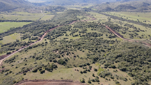Imagen 10 de 13 de Chacra Campo En Venta En Aguas Blancas, Lavalleja, Mataojo (ref: Atm-6840)