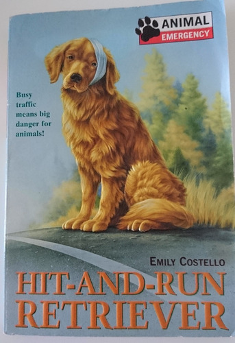 Libro Inglés Cuidar Perro Golden Hit & Run Retriever Niños