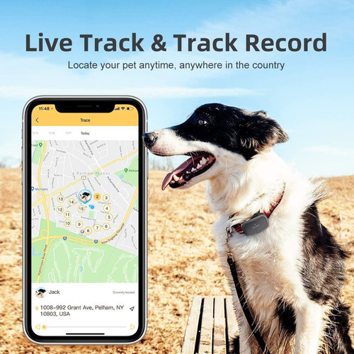 Petbiz Gps Pet Tracker, Real-time Dog Locater  Activity Moni