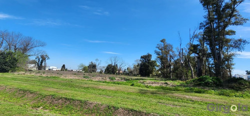 Terreno / Lote En Venta En El Polo Industrial De General Rodríguez