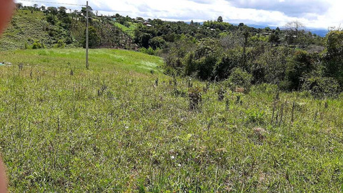 Imagen 4 de 19 de Venta Parcela 3.000mts2 - Calibio Norte Popayan
