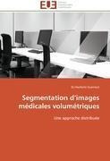 Segmentation D Images M Dicales Volum Triques - Guerrout-e