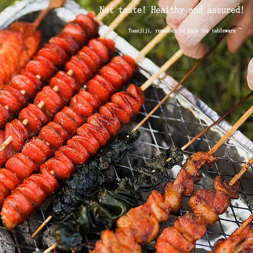 Parrilla Desechable Para Barbacoa, Libre De Humo, Para Pícni