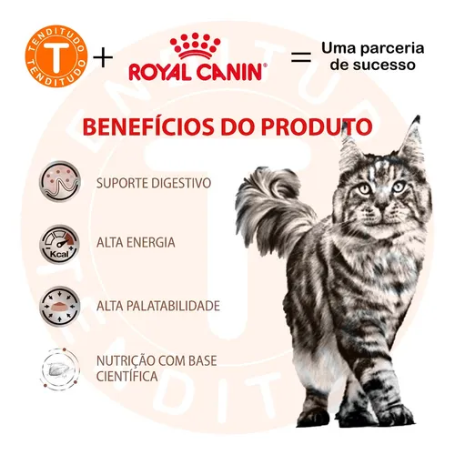 Royal canin gastro 2025 intestinal gi32 feline