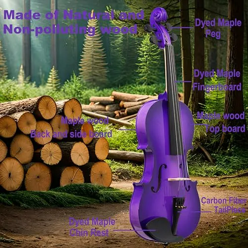 Violín Premium Morado 4/4 Para Principiantes - Kit Completo