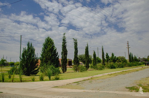 Imagen 2 de 4 de Lotes En Venta, Villa Albertina, Villa María
