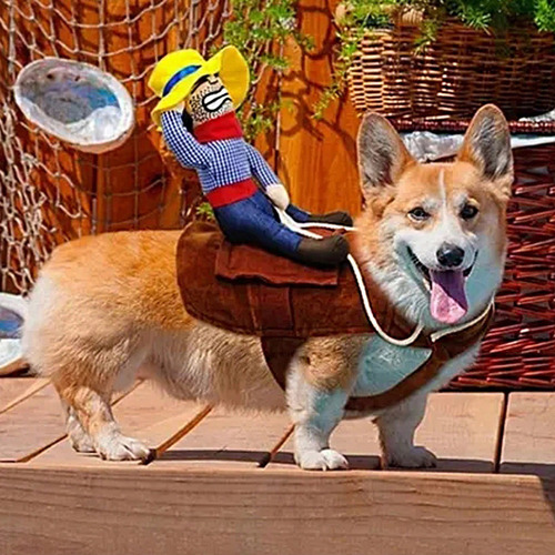 N Disfraz Halloween Para Perro Chico Y Grande Vaquero Jinete