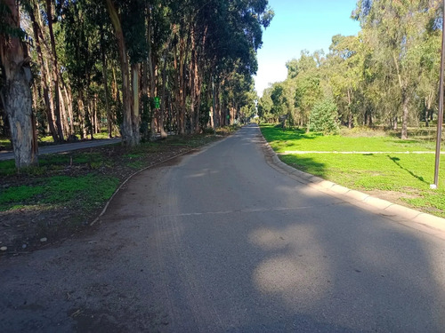 ¡donde La Naturaleza Y El Amor Se Unen!