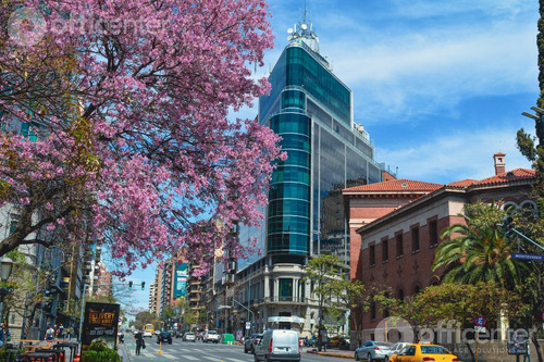 Oficina En Alquiler - Piso 3 - Edificio Inteligente - Ecipsa Tower - Av. Hipólito Yrigoyen 146