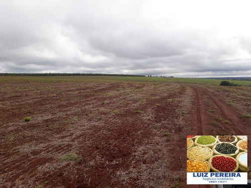 Fazenda Á Venda Em Ribas Do Rio Pardo - Ms -(dupla Aptidão) - De 2.007 Hec. - 1564