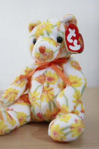 Peluche Ty Oso Shasta  Usa 18cm 