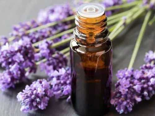 Aceite Esencial Lavanda 10 Botellas 10ml Vidrio Envío Gratis