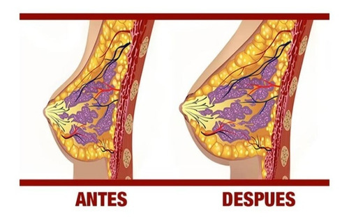 Imagen 5 de 9 de Natural Volume - Incrementa Busto / Pecho Paquete 60 Dias