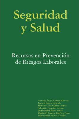 Libro Seguridad Y Salud: Recursos En Prevencion De Riesgo...