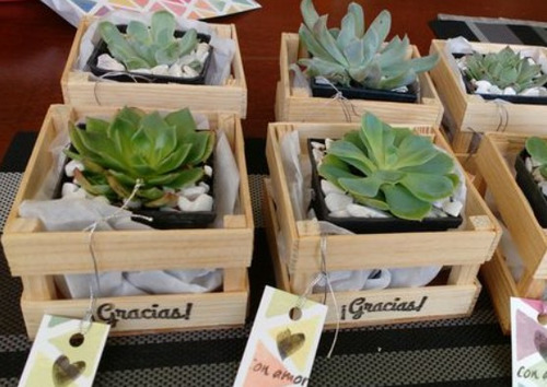 Imagen 5 de 5 de Box Regalos Personalizados Plantas Toda Ocasión