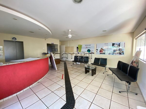Imagem 3 de 16 de Comercial Prédio Inteiro Com 8 Quartos - 100109-l
