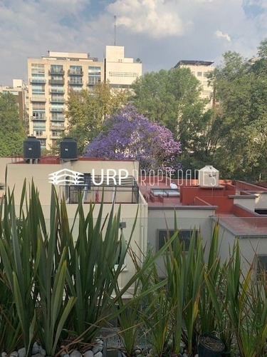 Imagen 10 de 28 de Bonito Ph En Venta, Calle Galileo Con Roof Garden Grande