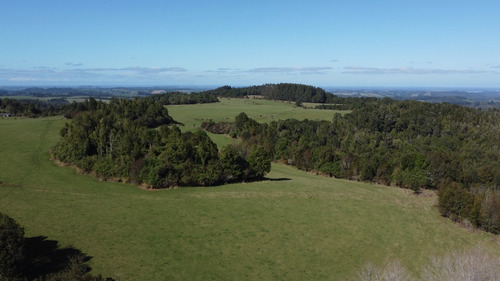 Campo Las Golondrinas 245ha - Los Muermos