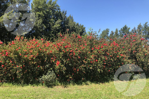 Lote De 1.200 M² En Venta En Barrio Driving Golf San Pedro, Buenos Aires - Naturaleza Y Confort