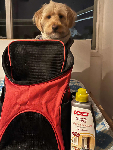 Mochila Transportadora De Mascota