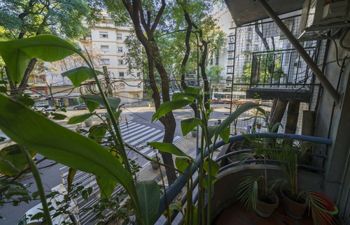 Imagen 14 de 30 de Ph - Palermo - Local - Vivienda 3 Dormitorios - Lote Propio - 330m2 Totales