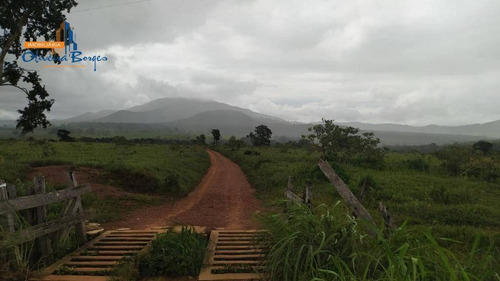 Chácara Com 1 Dormitório À Venda, 20000 M² Por R$ 235.000,00 - Zona Rural - Pirenópolis/go - Ch0077
