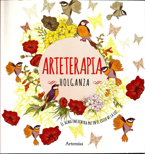Arteterapia Holganza, De Sin . Editorial Dap Libros, Edición 1 En Español
