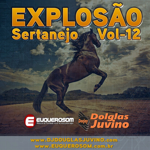 Imagem 3 de 6 de Cd Personalizado Varios Ritmos - Dj Dolglas Juvino