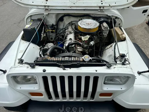 Jeep Wrangler Carpado