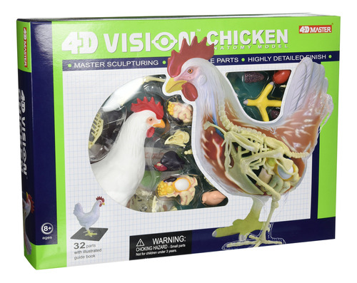 Famemaster 4d Vision Pollo Anatoma Modelo