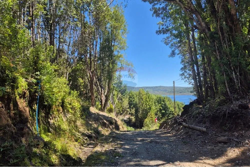 Venta Parcela C/ Acceso A Lago San Antonio Chiloe