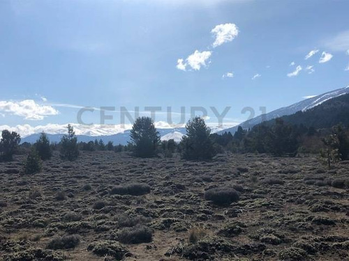 Imagen 20 de 24 de La Última Joya De Smandes, 160 Ha 3 Km Costa Río Quilquihue A 15 Min Centro