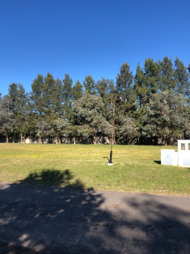 Imagen 10 de 16 de Lote En Lomas De San Antonio