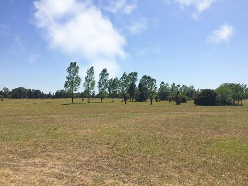 Imagen 16 de 17 de Preventa Exclusiva - Lomas Chascomús Club De Campo