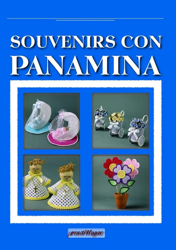 Souvenirs Con Panamina - Fabiana R. Zylberdyk