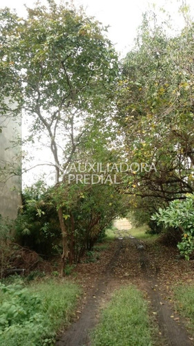 Imagem 11 de 11 de Terreno - Gloria - Ref: 264907 - V-264907