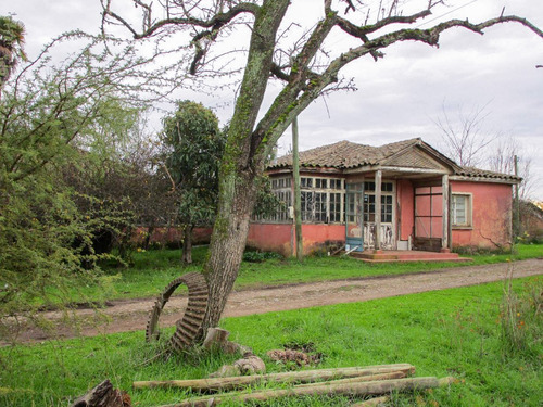 Propiedad Agrícola De Riego Con Derechos De Aguas Río Ñuble