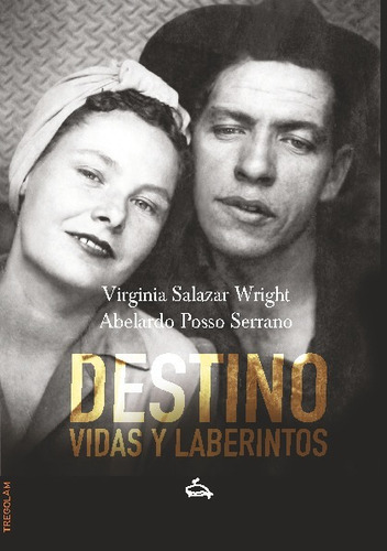 Destino. Vidas Y Laberintos (versión 1), De Virginia Salazar Wright Y Abelardo Posso Serrano. Editorial Tregolam Literatura En Español