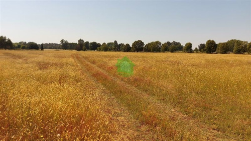Imagen 4 de 5 de Agrícola En Venta En La Unión