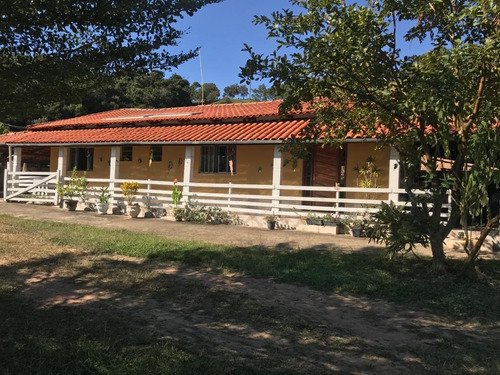 Imagem 1 de 15 de Fazenda Para Venda Em Crucilândia, Braúna, 3 Dormitórios, 1 Suíte, 1 Banheiro - F18_1-1925642
