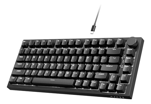 Teclado mecánico con cable Ajazz Ak820, teclado completo de intercambio en caliente, color negro, idioma inglés internacional